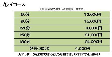 ブログプレイ