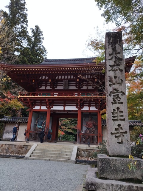 行楽シーズンですね🍁（こうき）【大阪梅田ゲイ,女装マッサージ売り専ルート６６BOY日記】