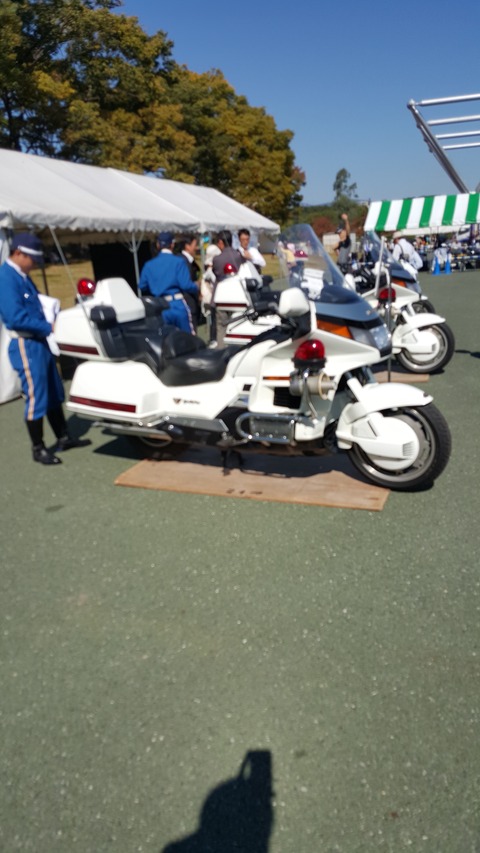 20151018_104402