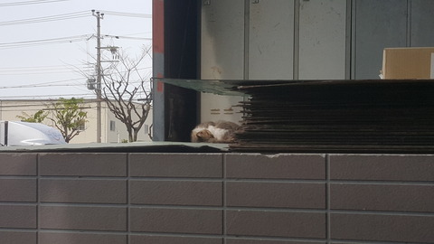 20160414_083851