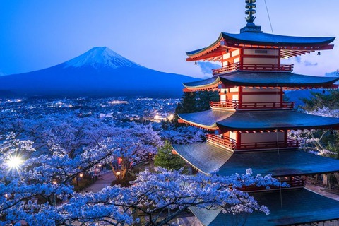Japan Escort Service and Japanese Escorts Girls