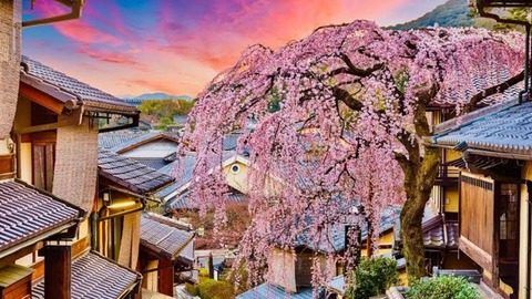 Kyoto call girls service profiles 100% screened and verified