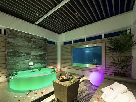 HOTEL IN THE GREEN kyoto escort
