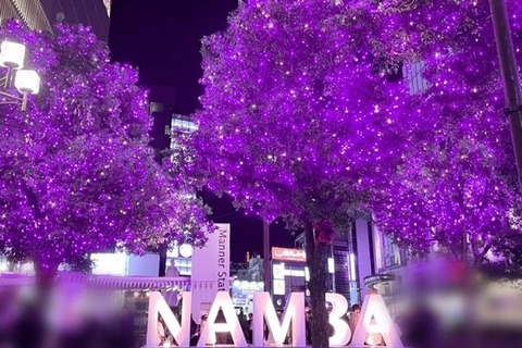 Midosuji illuminations in Namba Osaka with Escort girl