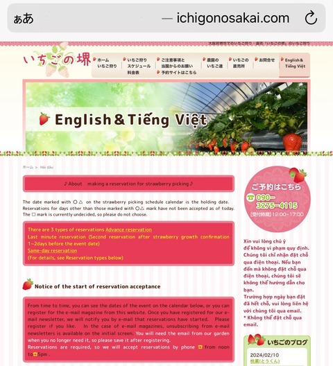 Ichigo no Sakai websites in English and Vietnamese