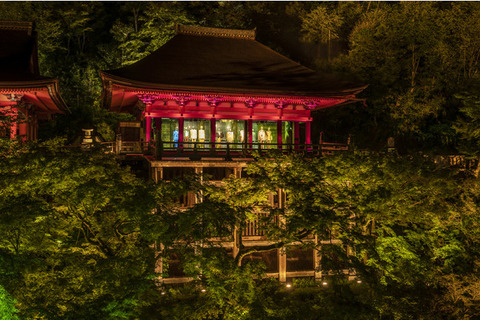 Gucci cosmos travel Kyoto
