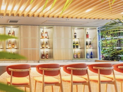 Guide to Osaka Hotels with Outcall Escorts Available