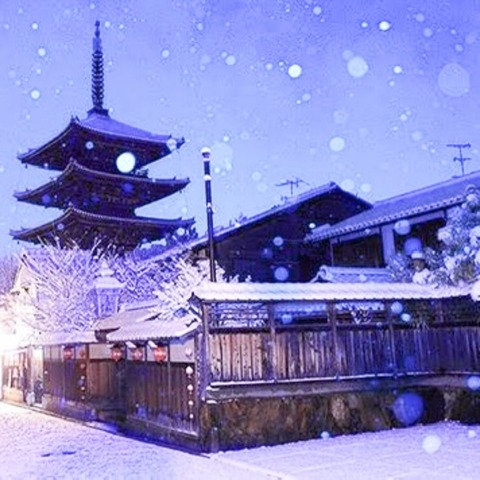 Best Travel Times with Kyoto Escort and Japanese Escort Guide