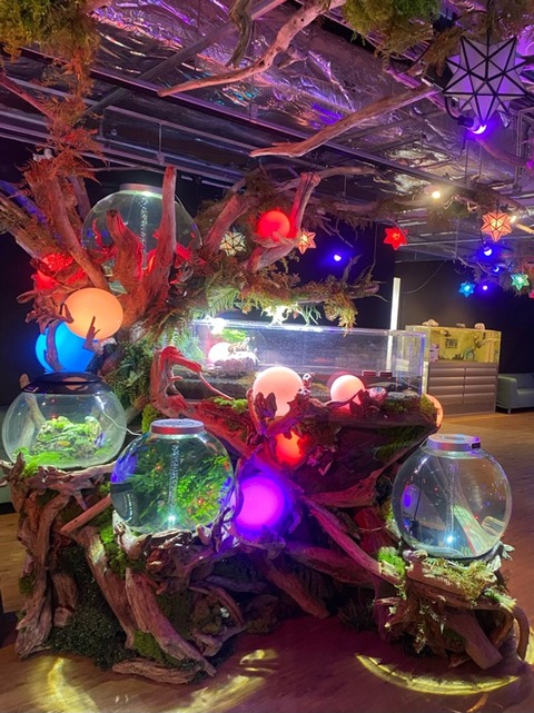 NARA IKIMONO MUSEUM inside Mi-Nara