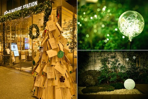 GOOD NATURE CHRISTMAS KYOTO
