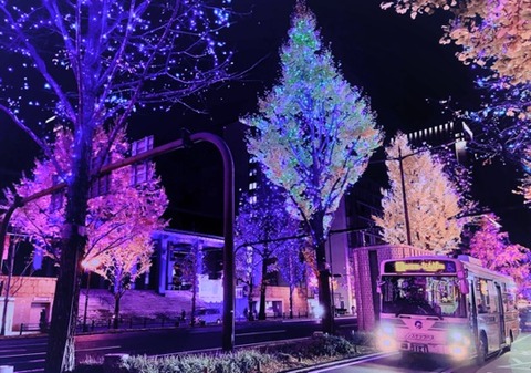 recommend enjoying the Midosuji illuminations by taxi or bus.