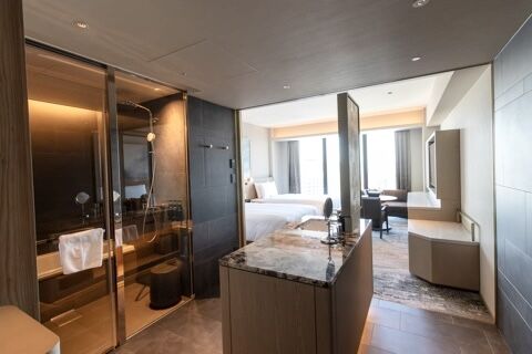 THE OSAKA STATION HOTEL osaka escort