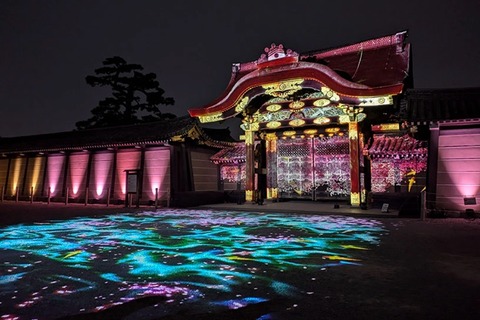 NAKED meets Nijo Castle 2025 Cherry Blossoms