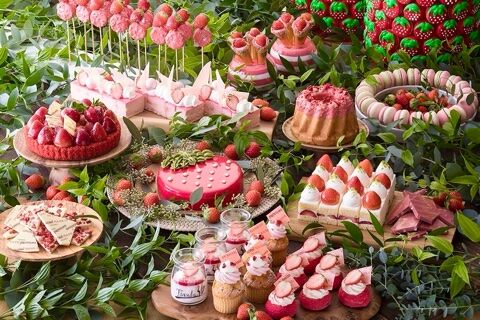 Osaka Escort Service Available at Swissotel Nankai Osaka