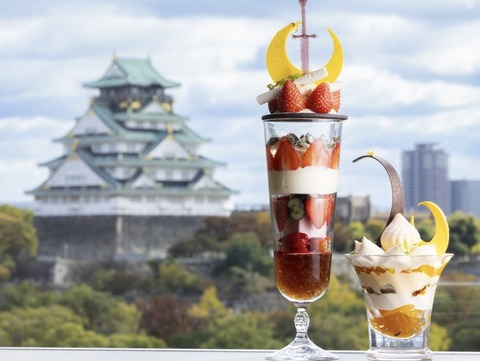 DoubleTree by Hilton Osaka Castle accept Escorts in rooms