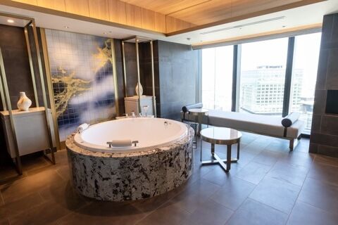 THE OSAKA STATION HOTEL osaka escort