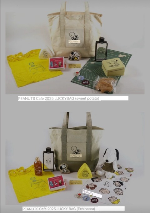Snoopy Cafe Osaka Lucky Bag 2025