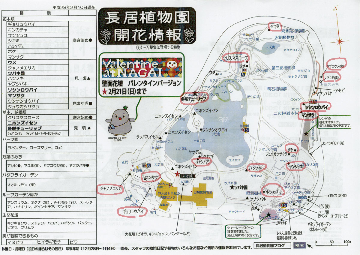 冬の長居公園の楽しみ方 大阪を歩こう
