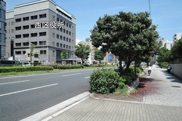 ヤマモモの実が歩道上に散乱 大阪市西区 大阪を歩こう ヤマモモの実が歩道上に散乱 大阪市西区 大阪を歩こう