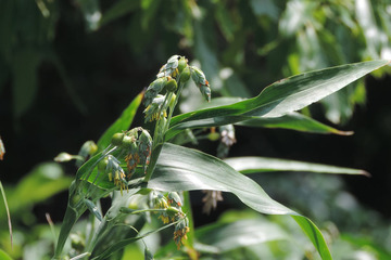 200806021