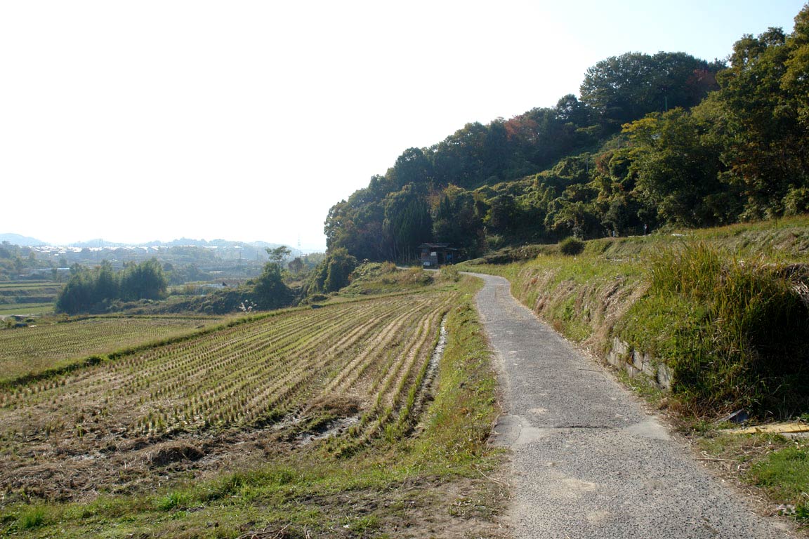 丘を通る道 大阪を歩こう 丘を通る道 大阪を歩こう
