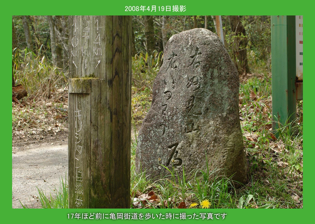 道標 道路標識 10 最高速度 規制標識（323） 894－50B 人文