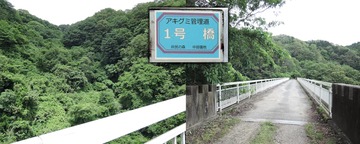 260606168