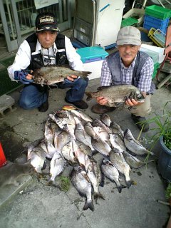 茅渟の海blog 大阪湾波止釣りブログ 釣果情報 Livedoor Blog ブログ