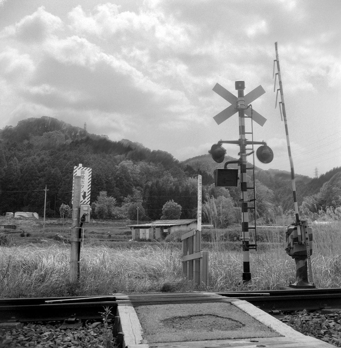 フィルムを現像する 15 Fomapan 200を試す その日まで