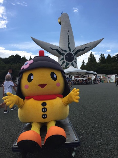 サッカー 公式 ユニフォーム  2024