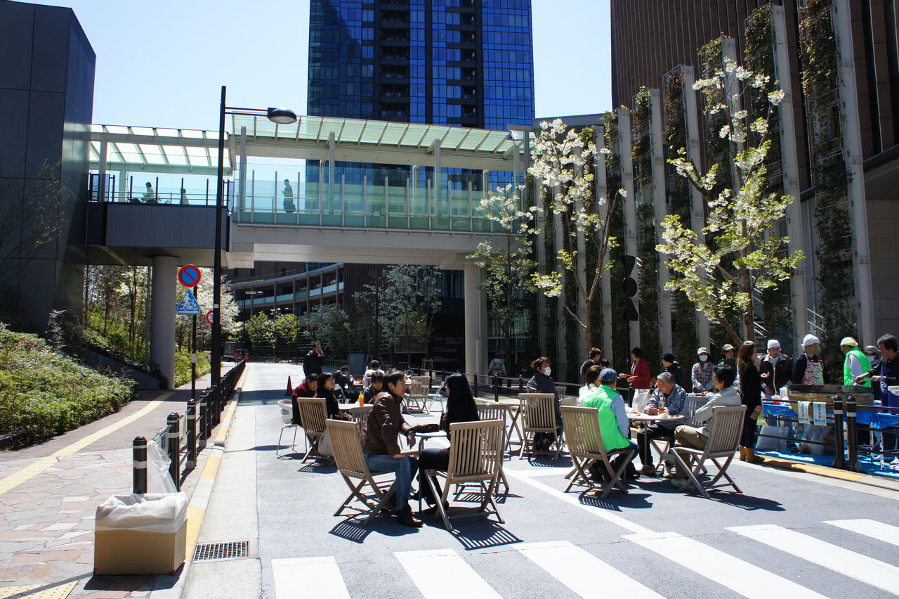 月よりも明るく輝く彗星が見えるようになりました