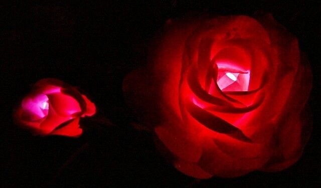 庭の風水 薔薇のソーラライト そよ風のように生きて 庭の風水 薔薇のソーラライト そよ風のように生きて