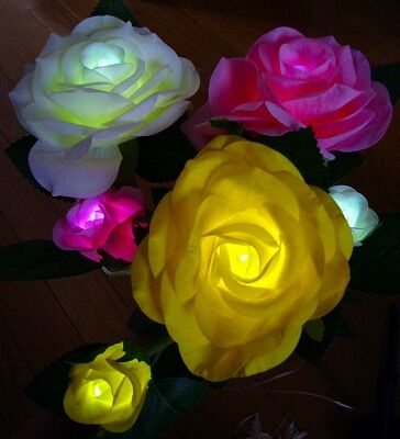 庭の風水 薔薇のソーラライト そよ風のように生きて 庭の風水 薔薇のソーラライト そよ風のように生きて