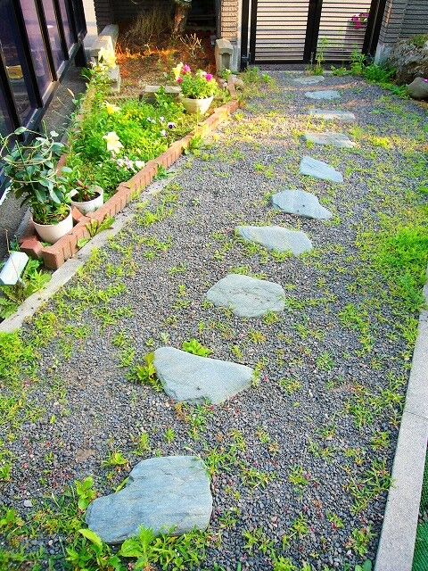 庭のビフォーアフター そよ風のように生きて 庭のビフォーアフター そよ風のように生きて