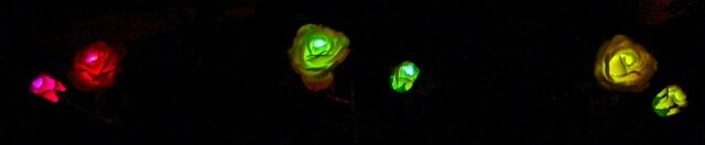 庭の風水 薔薇のソーラライト そよ風のように生きて 庭の風水 薔薇のソーラライト そよ風のように生きて