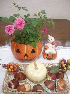 今日は 国際寛容デー でした そよ風のように生きて 今日は 国際寛容デー でした そよ風のように生きて