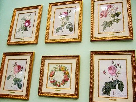 ルドゥーテ のバラのボタニカルアートの額絵を作りました