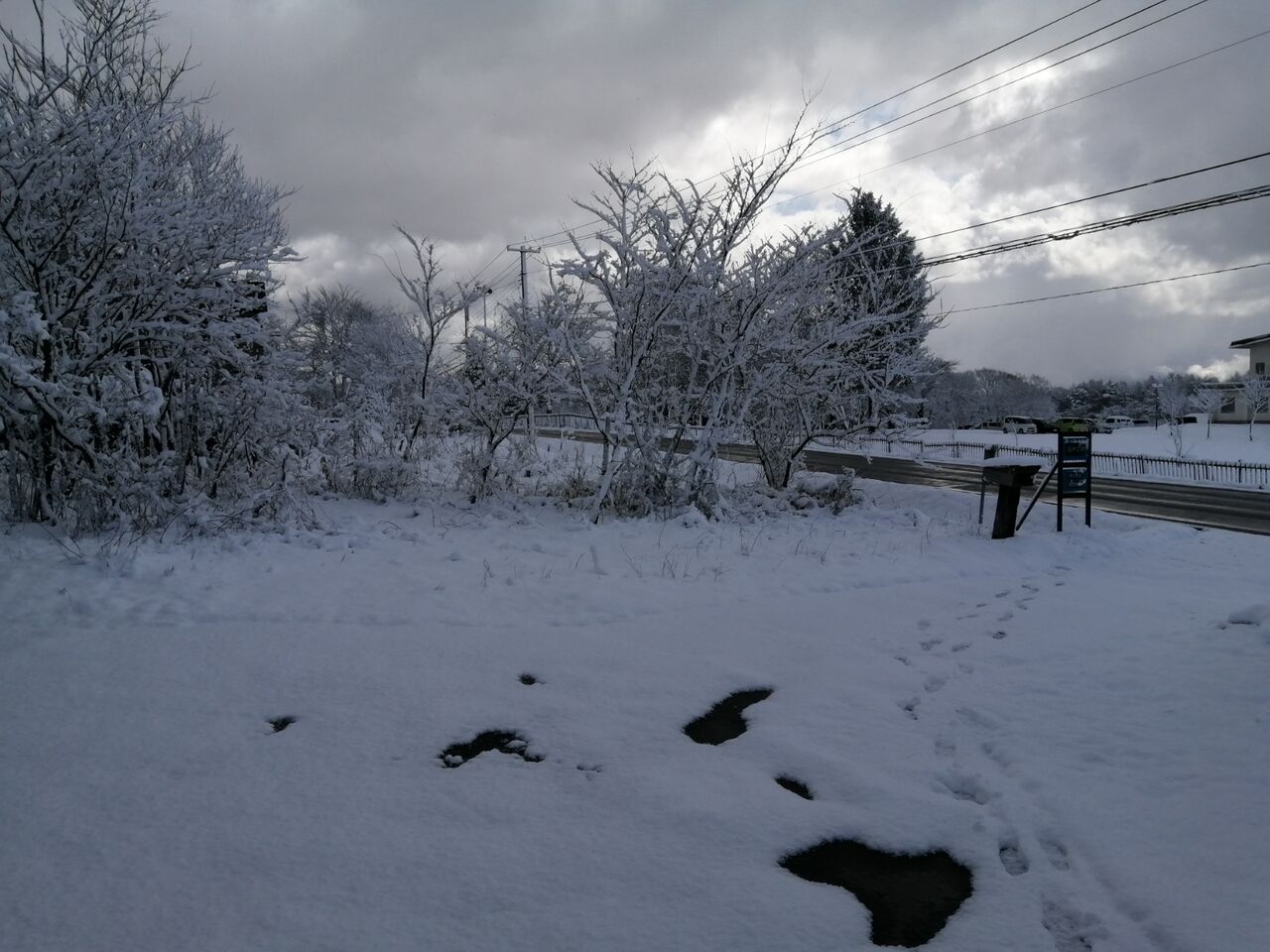 長内工房 森のメッセンジャーのときど記