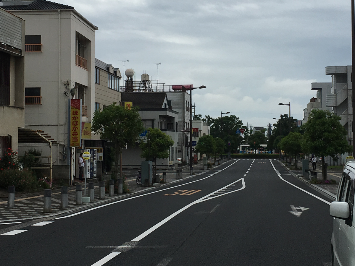 新潟県道118号米山停車場線