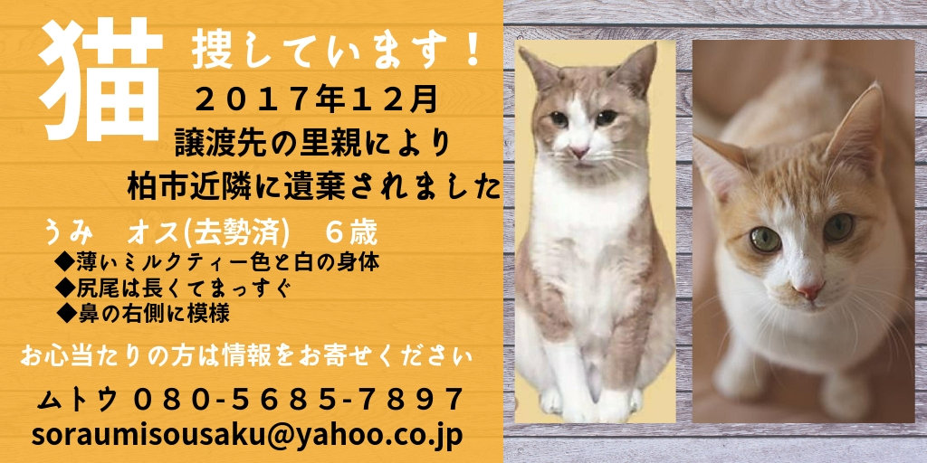 チャリティー商品の募集 千葉県動物愛護センター お散歩隊
