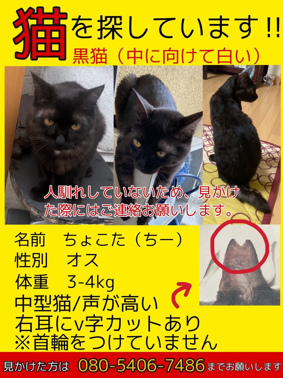 2021年3月19日 お散歩ボランティアレポート 千葉県動物愛護センター お散歩隊 2021年3月19日 お散歩ボランティアレポート 千葉県動物愛護センター お散歩隊