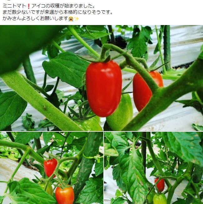 タイトルなし10