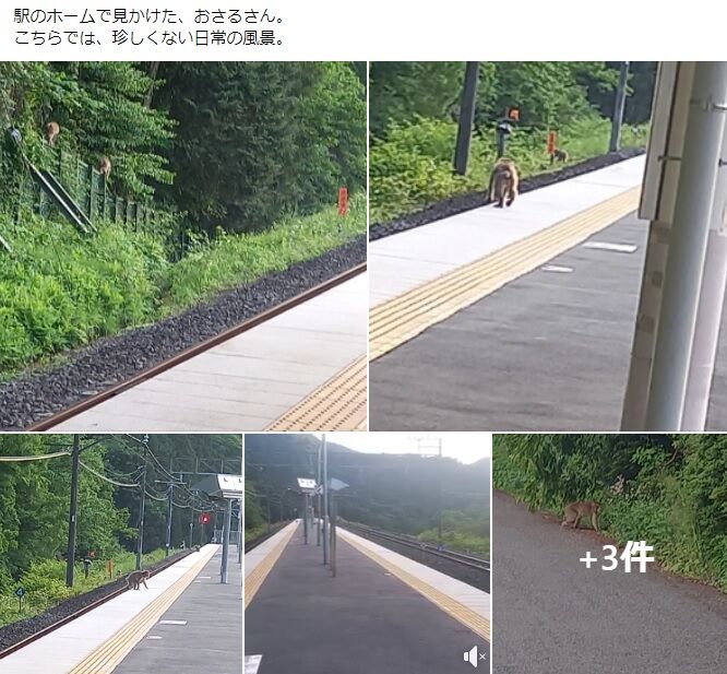 タイトルなし3