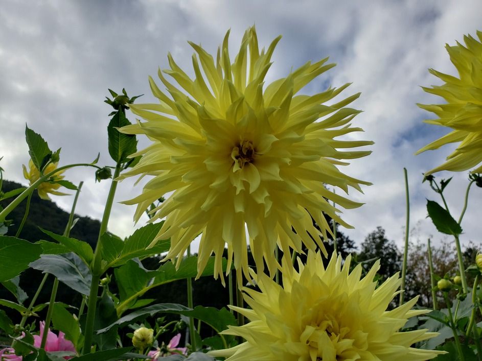 20191015_091715