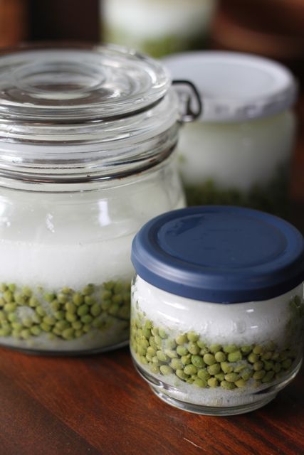 実山椒の季節です オサルノビタミン 実山椒の季節です オサルノビタミン