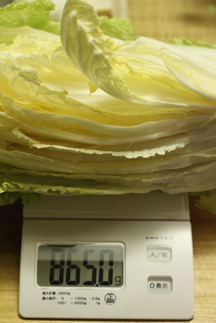 白菜のお漬けもんの作り方 本日完成 オサルノビタミン