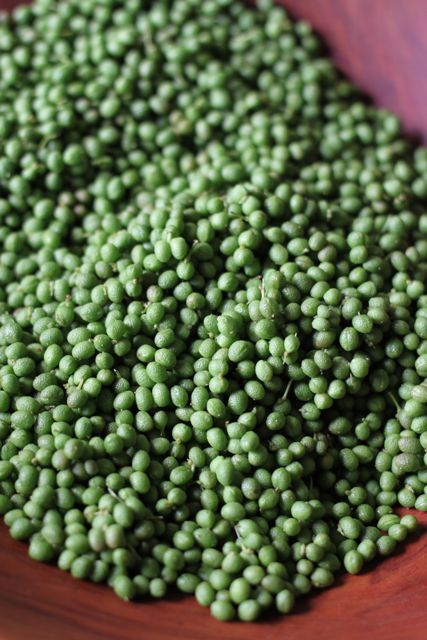 実山椒の季節です オサルノビタミン 実山椒の季節です オサルノビタミン