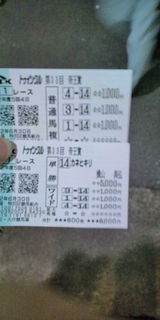 11356397_38958244_18large