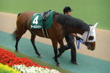 anesuto2