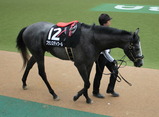 furan